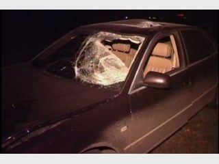 ��� �������� ������������ ��������� ���� ��������