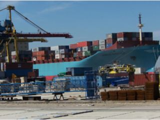 ���� �������� ����������� ����