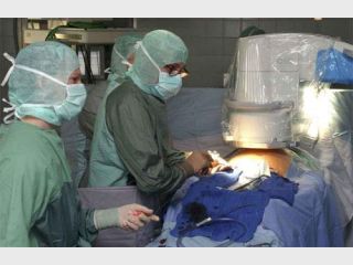 ������� ������ ��������������