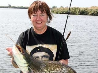 � ������� ��������� ������ �������������