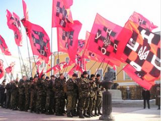 ����������� ������ ������� �������� ���-���� ���������������� ������������