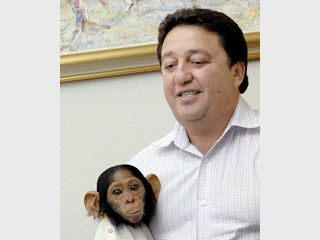 �������� ������ ���������� ��������� �������� ��������