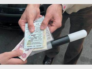 ������ ������ ������ ���� �������� ���������