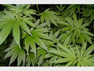 �������� ������ 