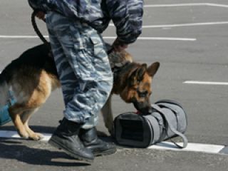 ������ ���������� ����� � ���������� �� �������� �������