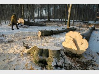 �������� ��������� �������  ������� �������: 