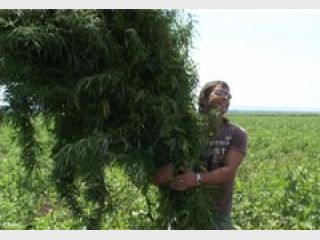 ������ �������� ������� �������� ����� ��������������� �������