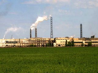 � ����� ����������� 