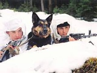 ������������ ��������� ���� � ������������ ���� � ��������� ������