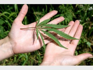 ������� �������� �����