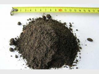 �� �������� �������� ���������� �������� ��������� �� ��������� �������