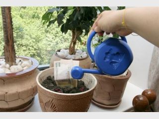 �������� ������ ����� ��������