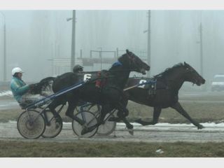 ����������� ����� ������ ������� ���� ����� 15 ����