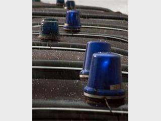 ���� �������: 