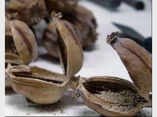 ������� ������� ���� ������ 15 �� ������� ������� � ��������������