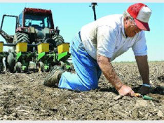 ������� ������ ����� ������ �����