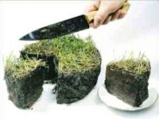 ����� �������