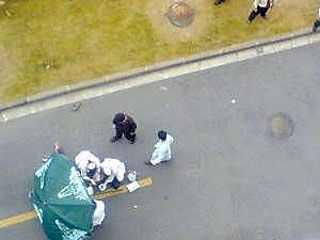 ������ ������������ ��������� � ��������� �����, ����� ����������� � 14-�� �����