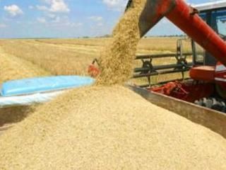 ���� �������, �������� ��� ����� �����, ����� �� 4-� ����