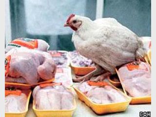 ������� ������ ��������������� ������������� �� ��������� ��������� �� ��� � ��������