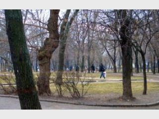 �������� ����������� ��������� ��������� ���� �� ����� ���������� ������� ��������� �������� ��� ������������� �������-���������������� ������