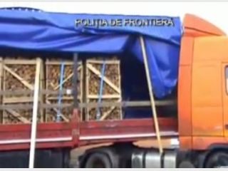 ����������� ��������� �� ���������-��������� �������. �����