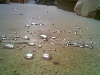 � ����������� ����� ��������� ���������� 50 �� �����