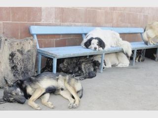 � ����� �������������� ��������� ������ �������� �� �����