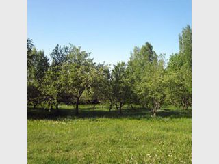 � ����� �������� �������� � ������