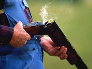 � �������� ������� ������������ ���������� ���� �� ����������� �����