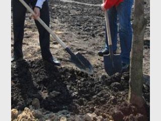 ������ �������. ������������ ����������� ����� �����