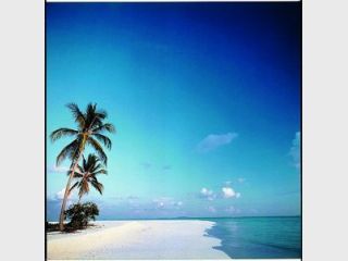 ��� ������� �������� ��������� ������������ �� ������� � �������