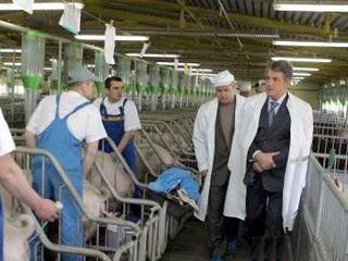 �� ����� ���������, �� ��� �� ���������� ����� ��������?