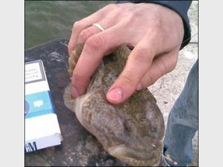 � ��������� ������� �����-�������