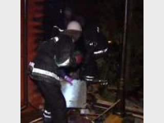 � ����� ���������� ����