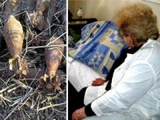 �� ������� ����������� ������