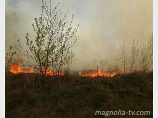 ��� ������ ������� ����� 100 �������� �������� ����