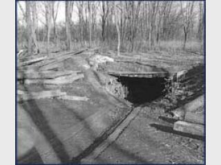 ����������� ���������� �������� 6 ���. ����