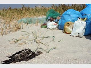 ��������� ����� ������������� ����? ���������� ������ ��������� ������