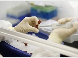 � ������ ����� 