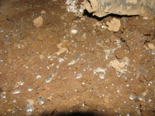 �� ����� ������ ���������� ������ �����