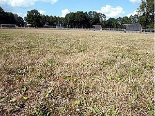 ��-�� �������� ���� � ����� ����� ��������� ������