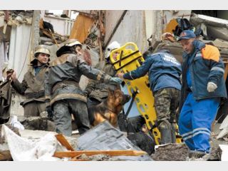 ��������� ������ �� ��������