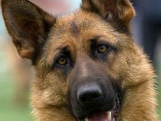 ���������� ����� � ������� ��������� ���������