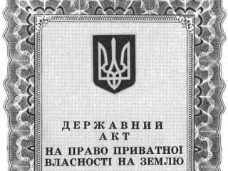 ����� ������������� ������ ����� �������� ������� � �������?