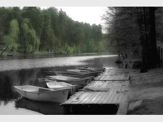 ���-������� � 