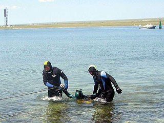 � ����� ����� ���� �������� ��������