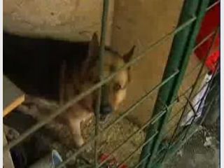 � ����� ������� ����� �������