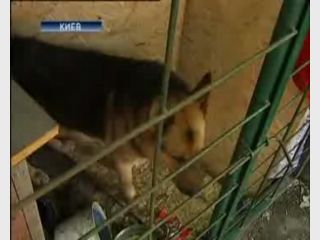 ������� ������� ������, ��������� �������. ���������� ��������� ����