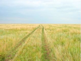 ����� � ����������� �������-���� ����� 50% ������